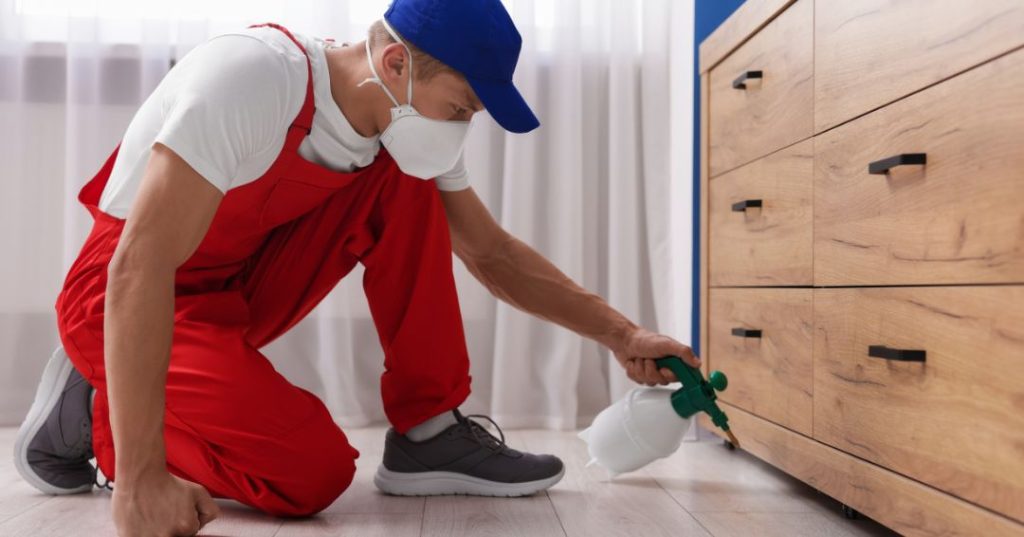 capa dedetizacao em Campinas